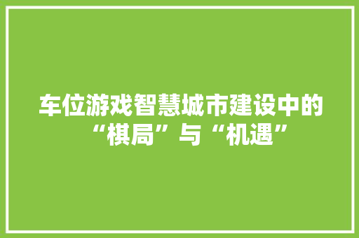 车位游戏智慧城市建设中的“棋局”与“机遇”