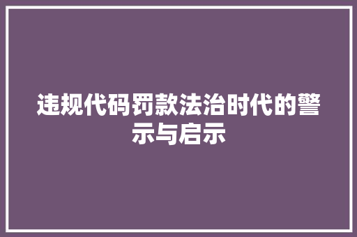 违规代码罚款法治时代的警示与启示