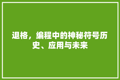 退格，编程中的神秘符号历史、应用与未来
