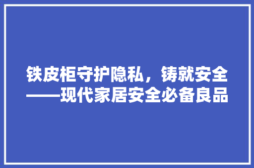 铁皮柜守护隐私，铸就安全——现代家居安全必备良品