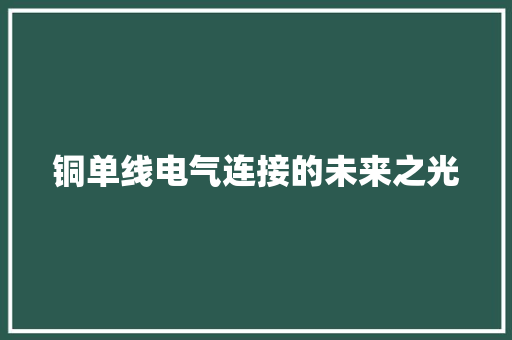 铜单线电气连接的未来之光