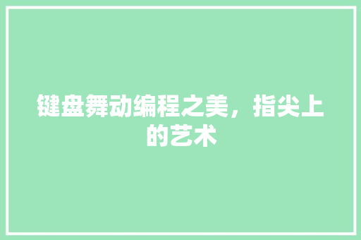 键盘舞动编程之美，指尖上的艺术