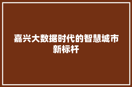 嘉兴大数据时代的智慧城市新标杆  第1张