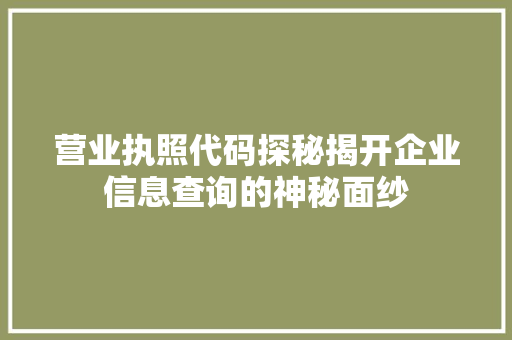 营业执照代码探秘揭开企业信息查询的神秘面纱