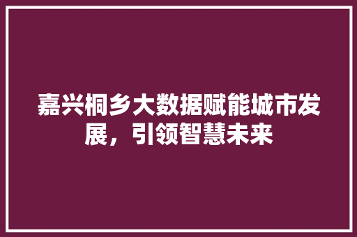 嘉兴桐乡大数据赋能城市发展，引领智慧未来  第1张