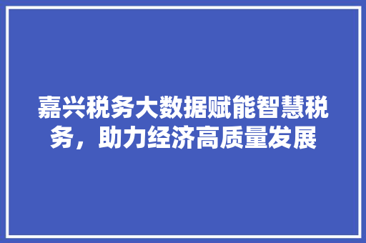 嘉兴税务大数据赋能智慧税务，助力经济高质量发展  第1张