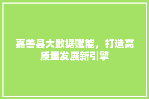 嘉善县大数据赋能，打造高质量发展新引擎