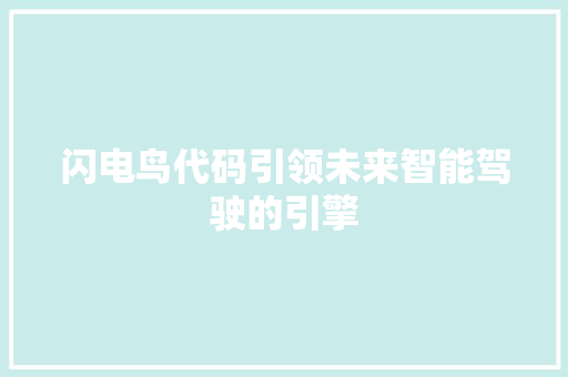 闪电鸟代码引领未来智能驾驶的引擎