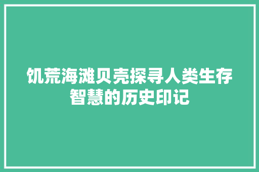 饥荒海滩贝壳探寻人类生存智慧的历史印记