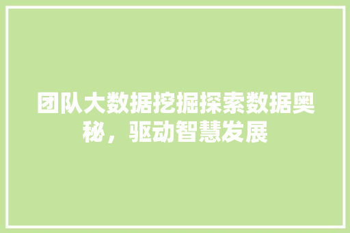 团队大数据挖掘探索数据奥秘，驱动智慧发展  第1张