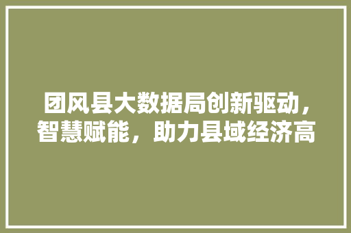 团风县大数据局创新驱动，智慧赋能，助力县域经济高质量发展