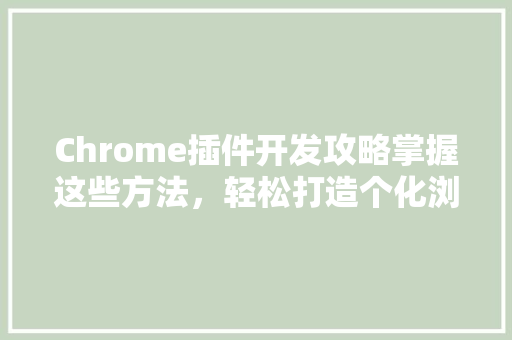 Chrome插件开发攻略掌握这些方法，轻松打造个化浏览器