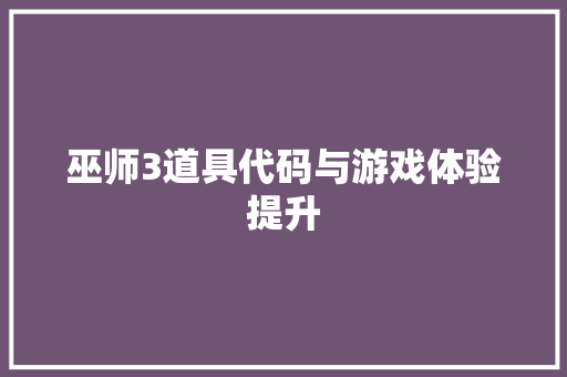 巫师3道具代码与游戏体验提升