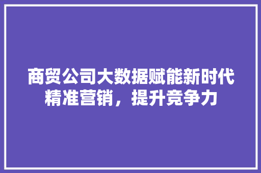 商贸公司大数据赋能新时代精准营销，提升竞争力