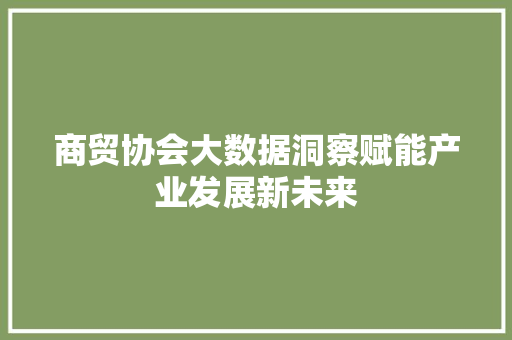 商贸协会大数据洞察赋能产业发展新未来