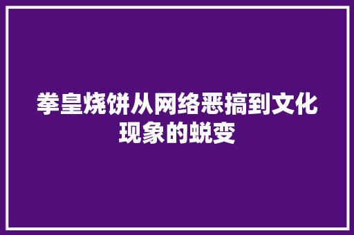拳皇烧饼从网络恶搞到文化现象的蜕变