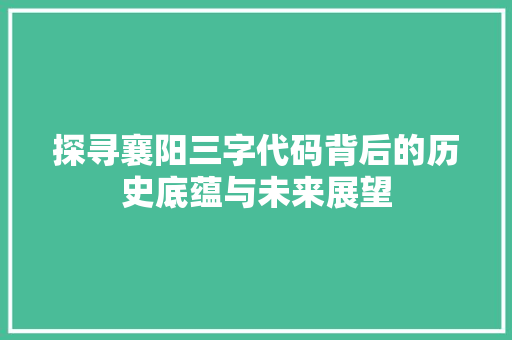 探寻襄阳三字代码背后的历史底蕴与未来展望