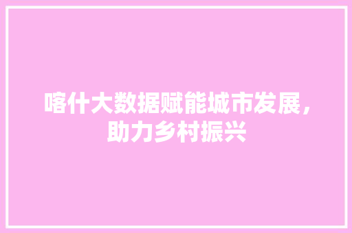 喀什大数据赋能城市发展，助力乡村振兴