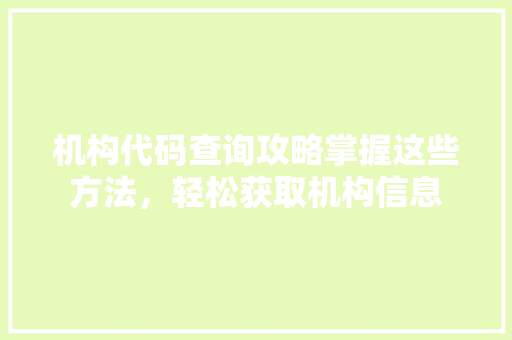 机构代码查询攻略掌握这些方法，轻松获取机构信息