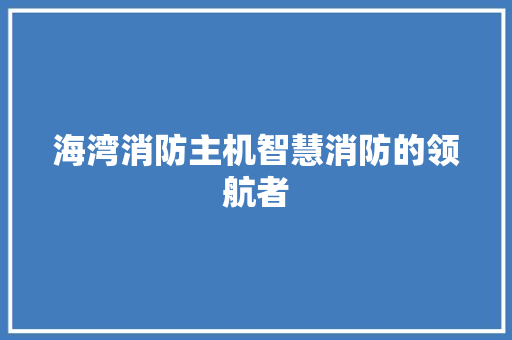 海湾消防主机智慧消防的领航者