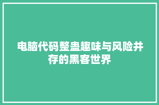 电脑代码整蛊趣味与风险并存的黑客世界