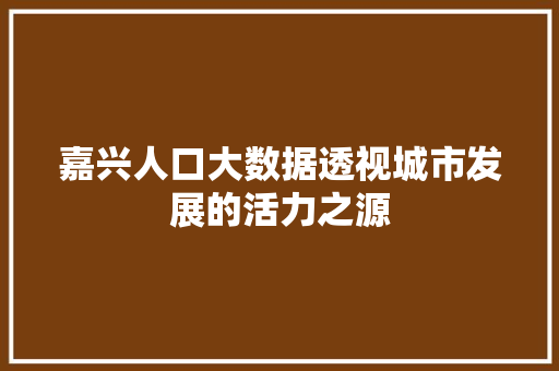 嘉兴人口大数据透视城市发展的活力之源