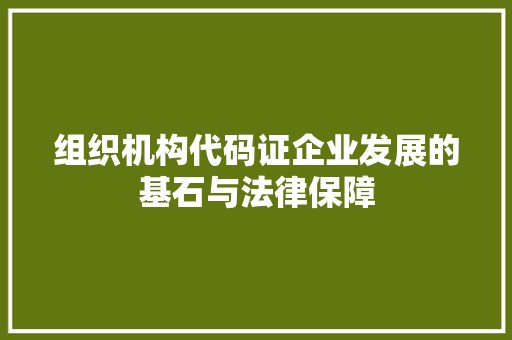 组织机构代码证企业发展的基石与法律保障  第1张