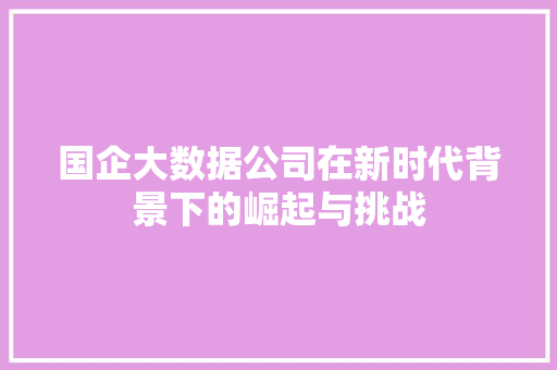 国企大数据公司在新时代背景下的崛起与挑战  第1张