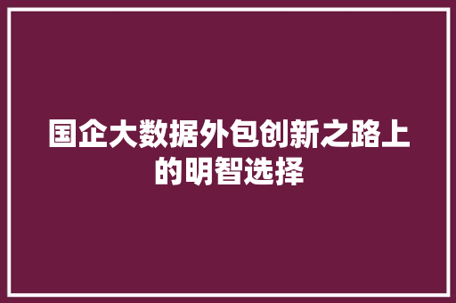 国企大数据外包创新之路上的明智选择  第1张