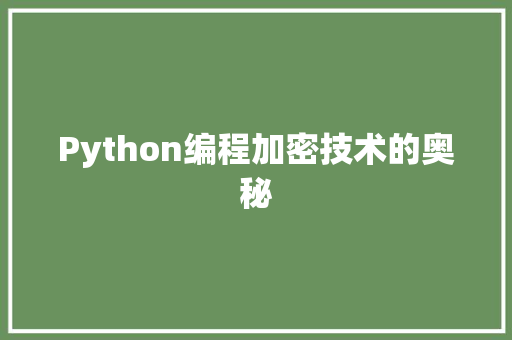 Python编程加密技术的奥秘