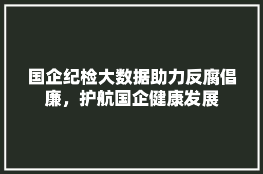 国企纪检大数据助力反腐倡廉，护航国企健康发展
