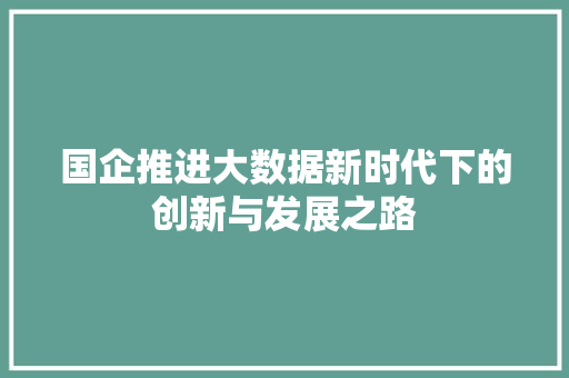 国企推进大数据新时代下的创新与发展之路