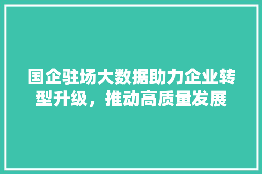 国企驻场大数据助力企业转型升级，推动高质量发展