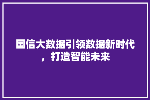 国信大数据引领数据新时代，打造智能未来