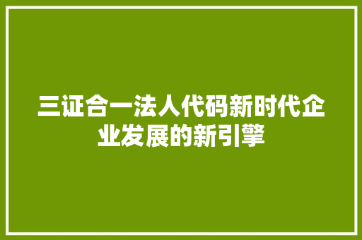 三证合一法人代码新时代企业发展的新引擎