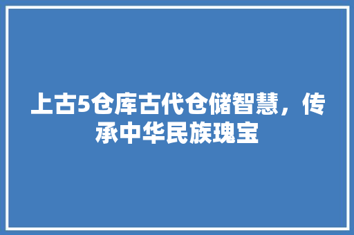 上古5仓库古代仓储智慧，传承中华民族瑰宝
