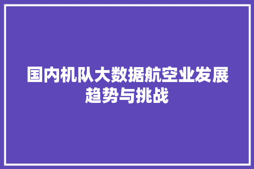 国内机队大数据航空业发展趋势与挑战