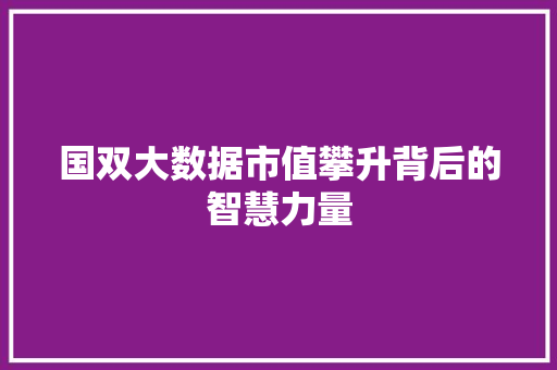 国双大数据市值攀升背后的智慧力量  第1张