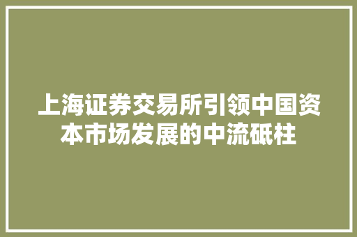 上海证券交易所引领中国资本市场发展的中流砥柱