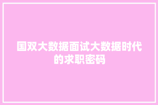 国双大数据面试大数据时代的求职密码  第1张