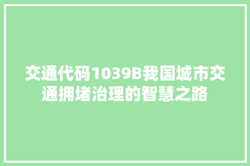 交通代码1039B我国城市交通拥堵治理的智慧之路
