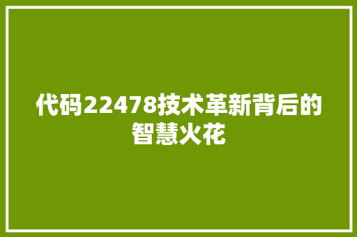 代码22478技术革新背后的智慧火花