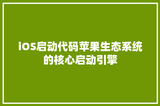 iOS启动代码苹果生态系统的核心启动引擎