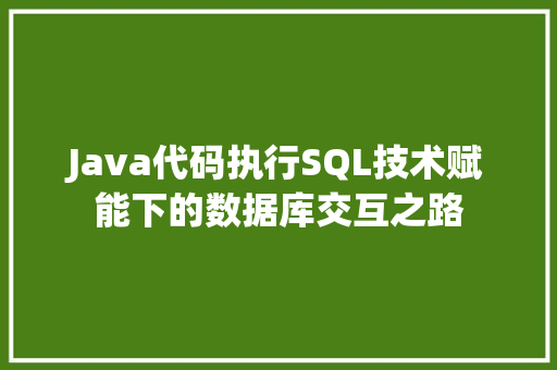 Java代码执行SQL技术赋能下的数据库交互之路