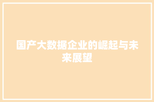 国产大数据企业的崛起与未来展望  第1张