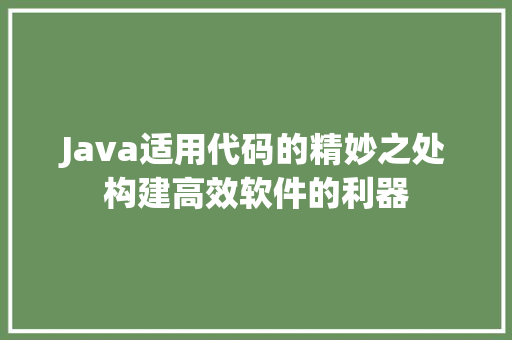 Java适用代码的精妙之处构建高效软件的利器
