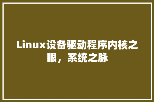 Linux设备驱动程序内核之眼，系统之脉