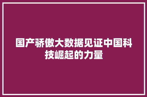 国产骄傲大数据见证中国科技崛起的力量
