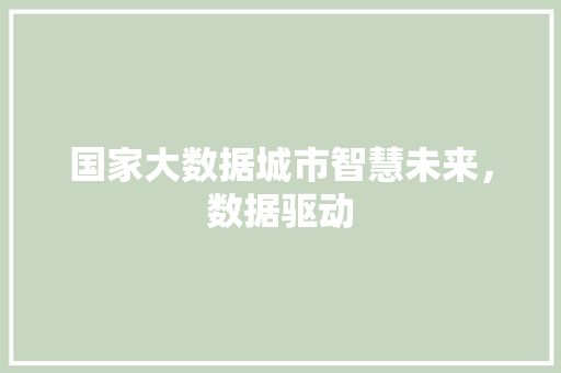 国家大数据城市智慧未来，数据驱动  第1张