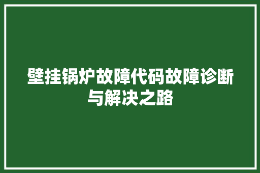 壁挂锅炉故障代码故障诊断与解决之路